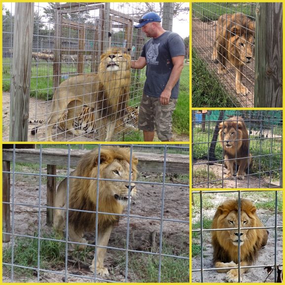 1d5175dd-b40b-4ed5-bac4-07c3e9473f09