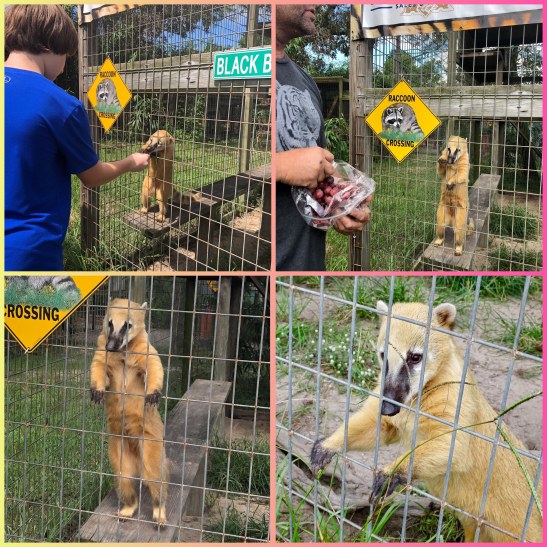 1fc6a7fa-6328-4b5e-9223-1895fde97d9b