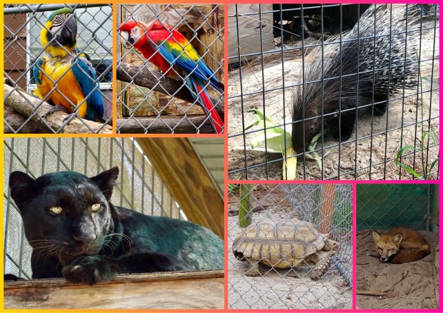 65df5c2c-7802-417c-bbff-6adc35cbffc81