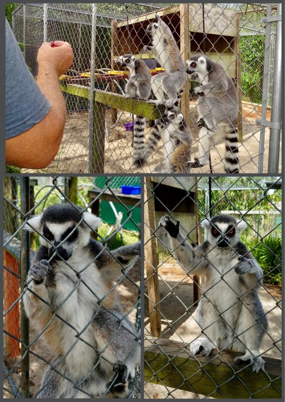 686c02ba-be11-49bb-a9a2-519eb5e5fb841