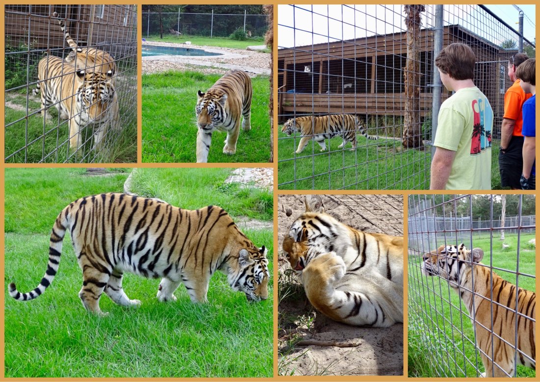 7a21a64a-b9cb-4ff7-ab2f-5690e8f101b0