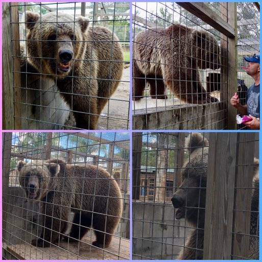 a58540ca-20fc-4227-aa48-5871cbacb9cc