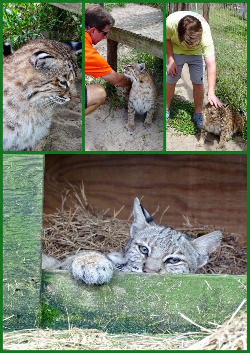 ac1af9f4-2000-4427-8aaa-f7aa2f61b7001