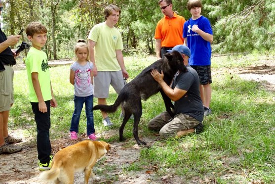 d78fcc24-5c12-4a28-b034-ea4e344a29eb