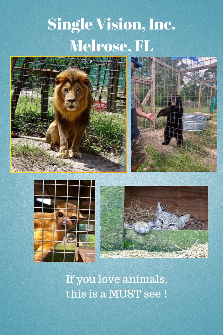 SIngle Vision, Inc.Melrose, FL