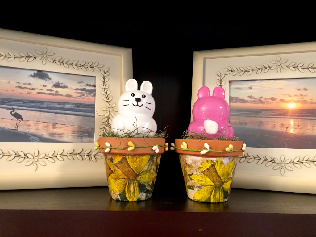 Bunny Flowerpots: A simple DIY decoration for Easter – My Florida Life