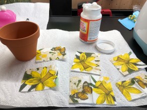 pkkS7aWVQ36+jtQzhKMShw